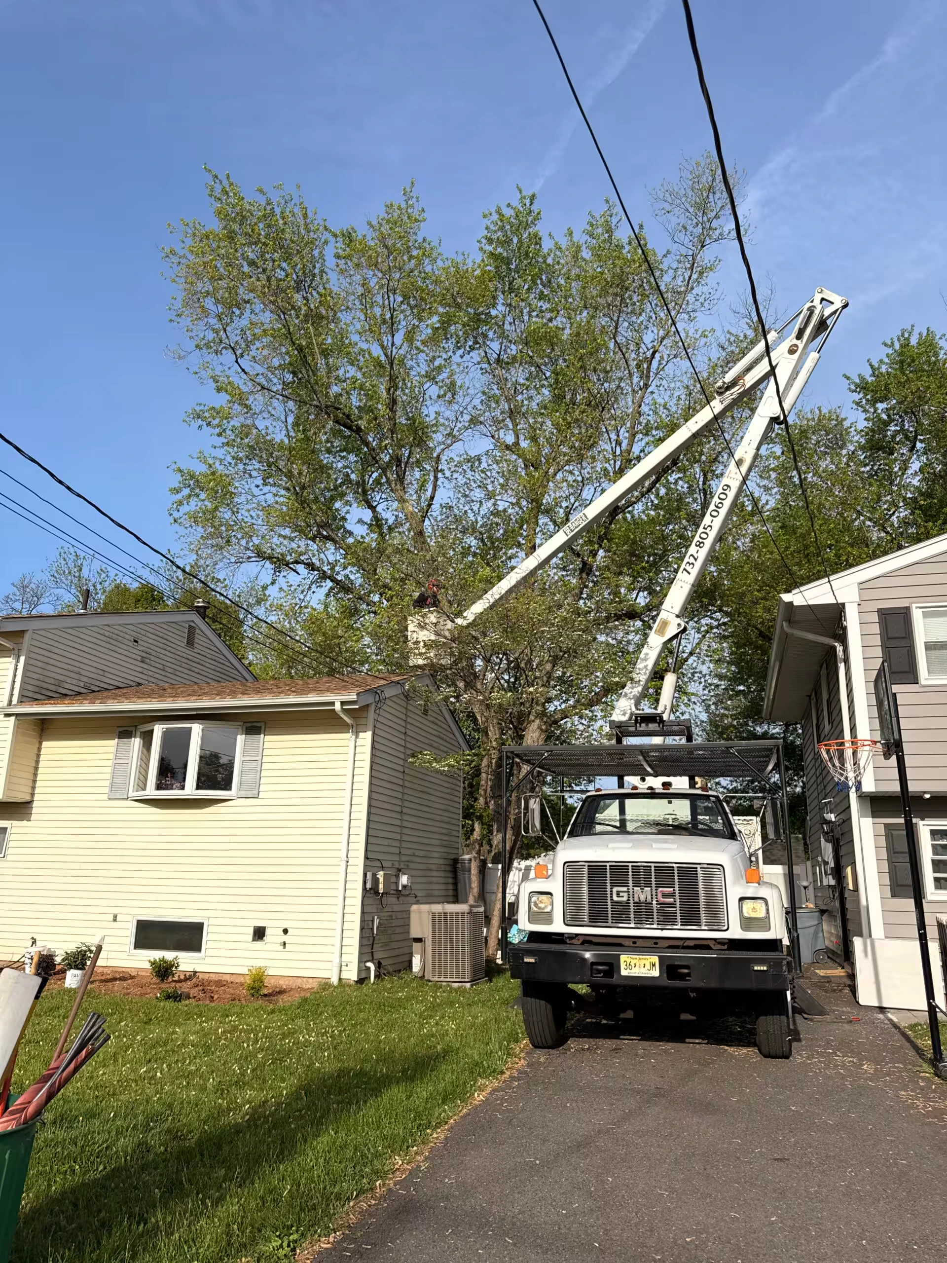 Wayne's Tree Service bucket truck reaching into a tree canopy beside a house