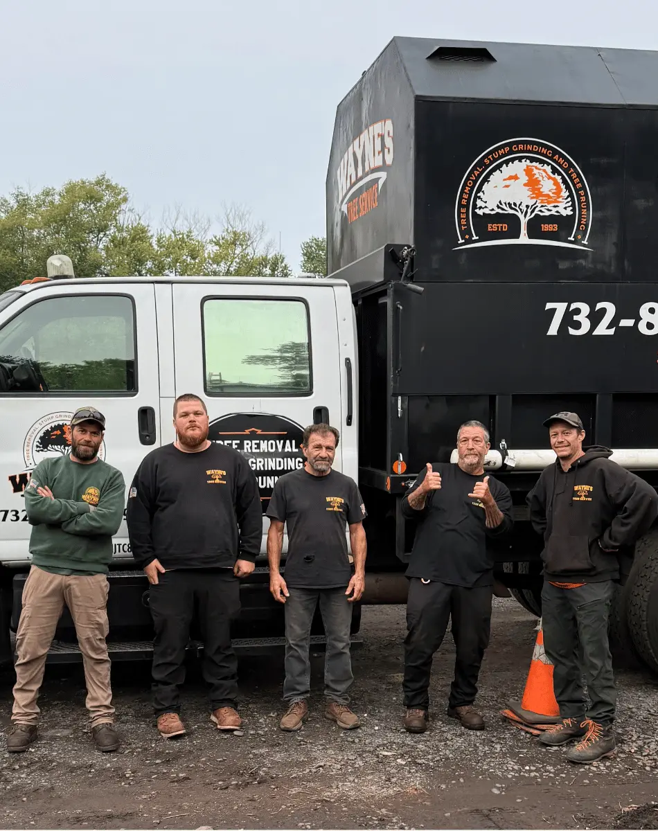 The Wayne's Tree Service crew in front of their chip truck in Somerville, NJ
