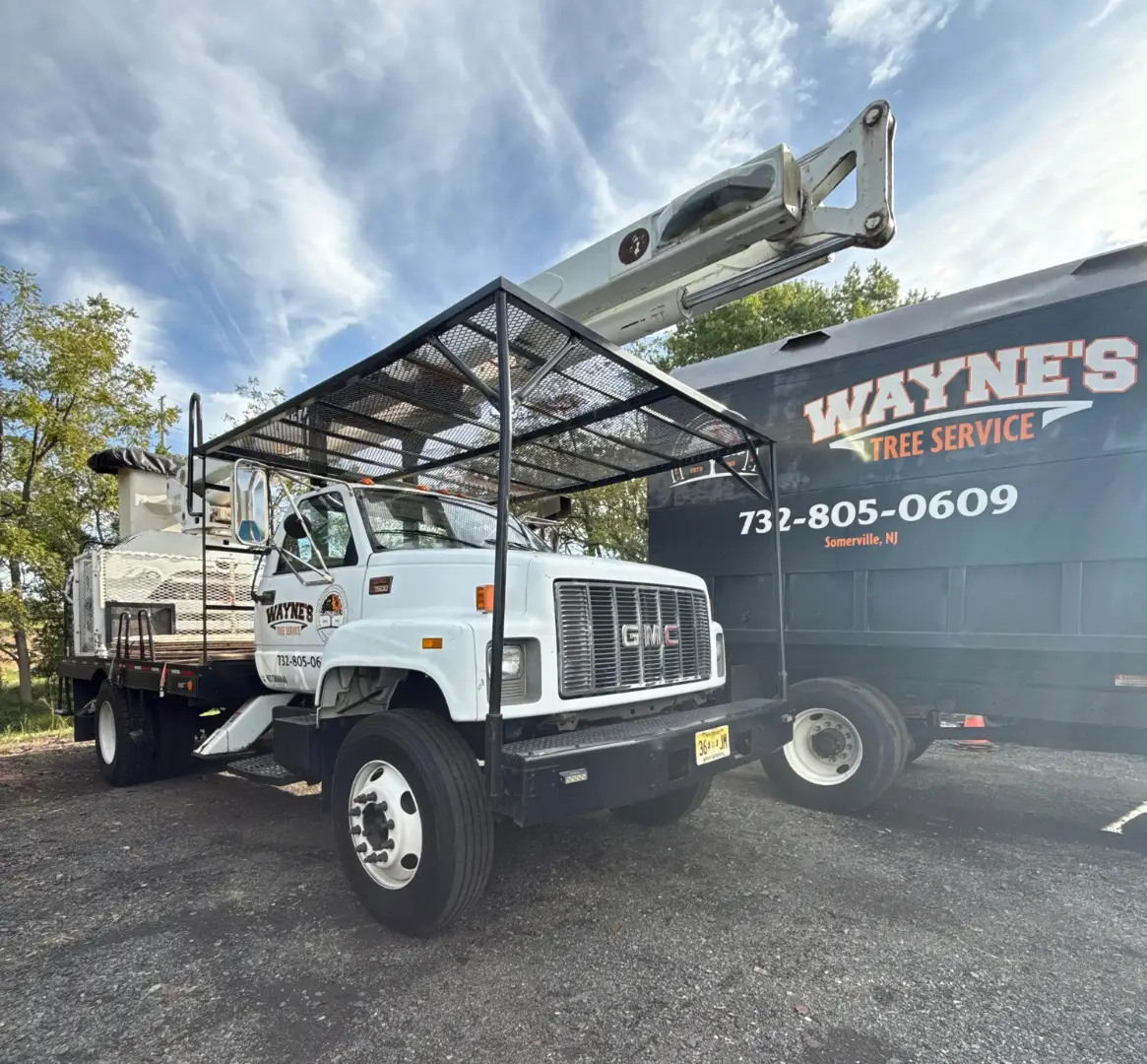 Crane-Assisted Removals — Wayne's Tree Service equipment