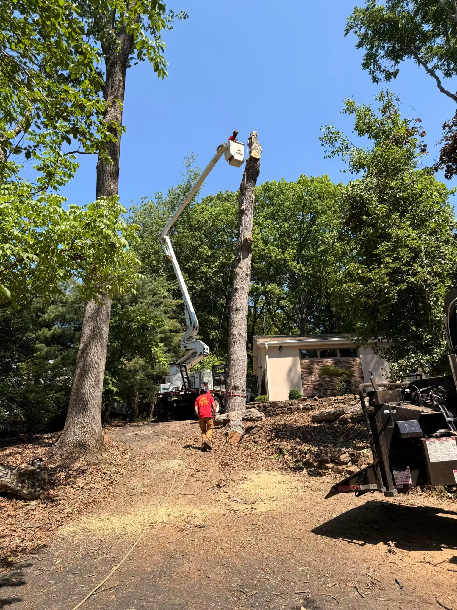 A tree care professional in an aerial lift bucket works on removing a tall tree trunk next to a residential house while a ground worker handles a rigging line.