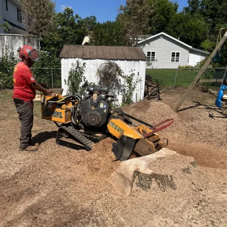 Stump Grinding and Removal