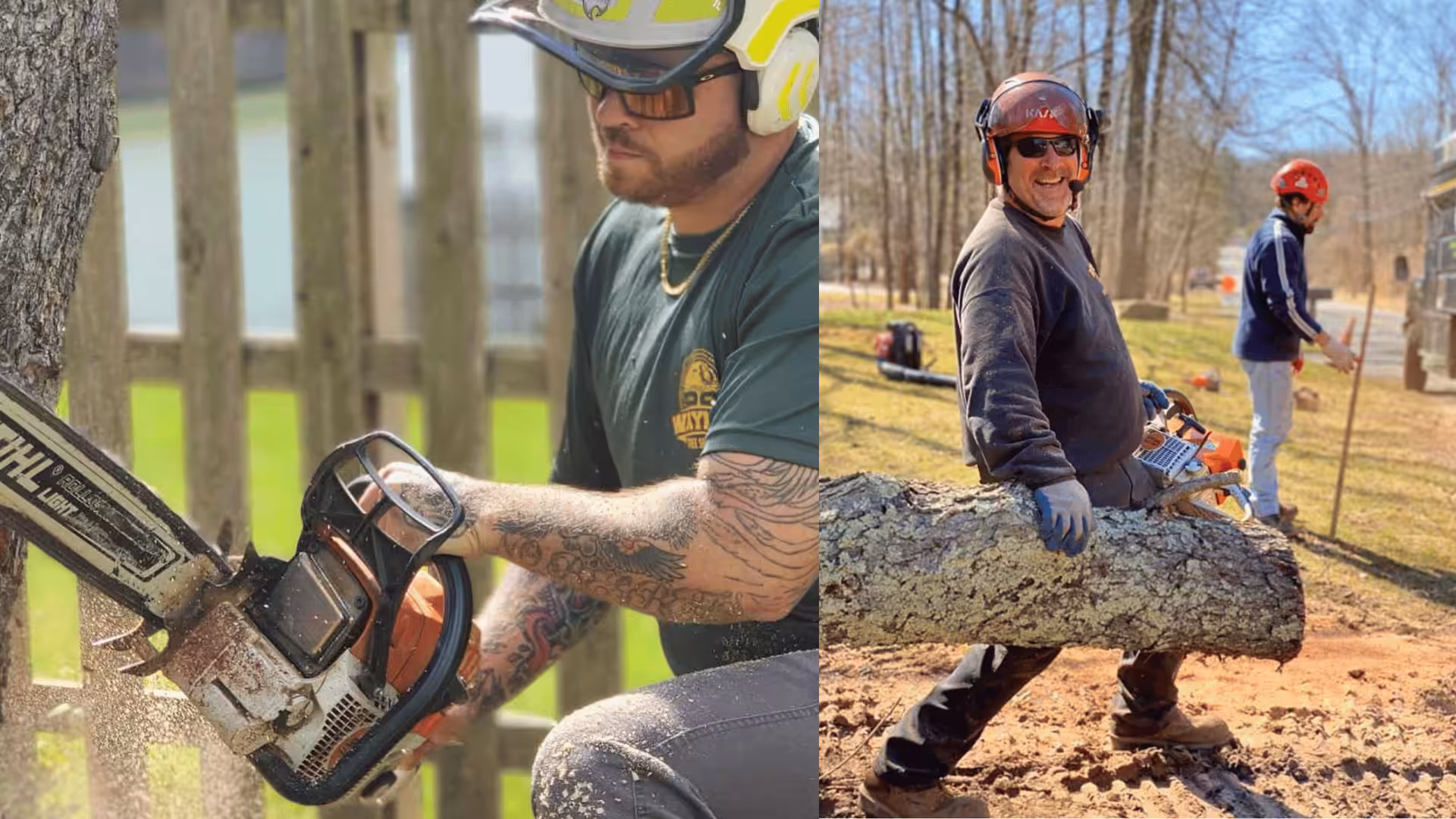 Wayne's Tree Service crew on a tree removal — one cutting with a chainsaw, the other bucking the trunk