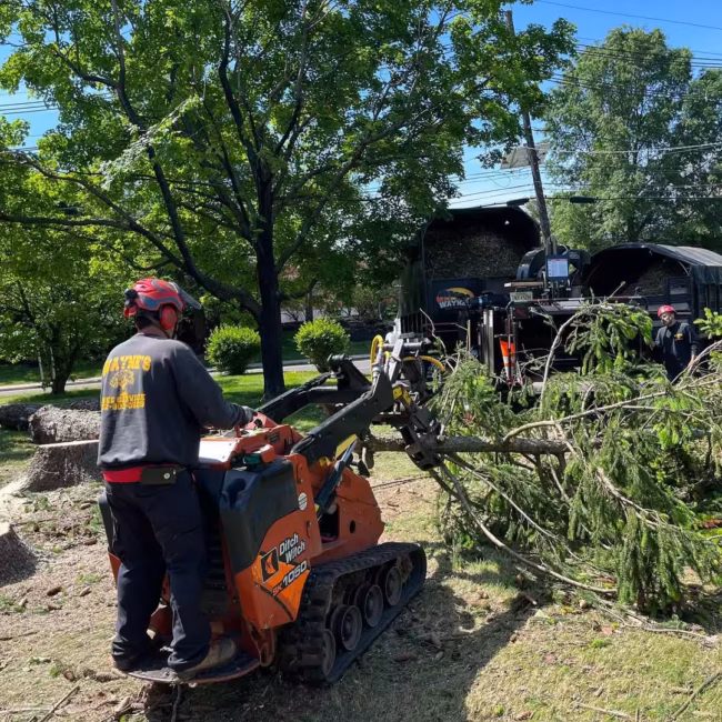 Worker using mini skid steer to clear branches and debris during land clearing