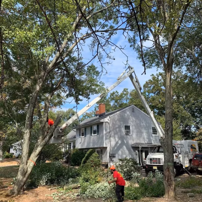 Bucket truck lifting a crew member over a house during a residential tree removal