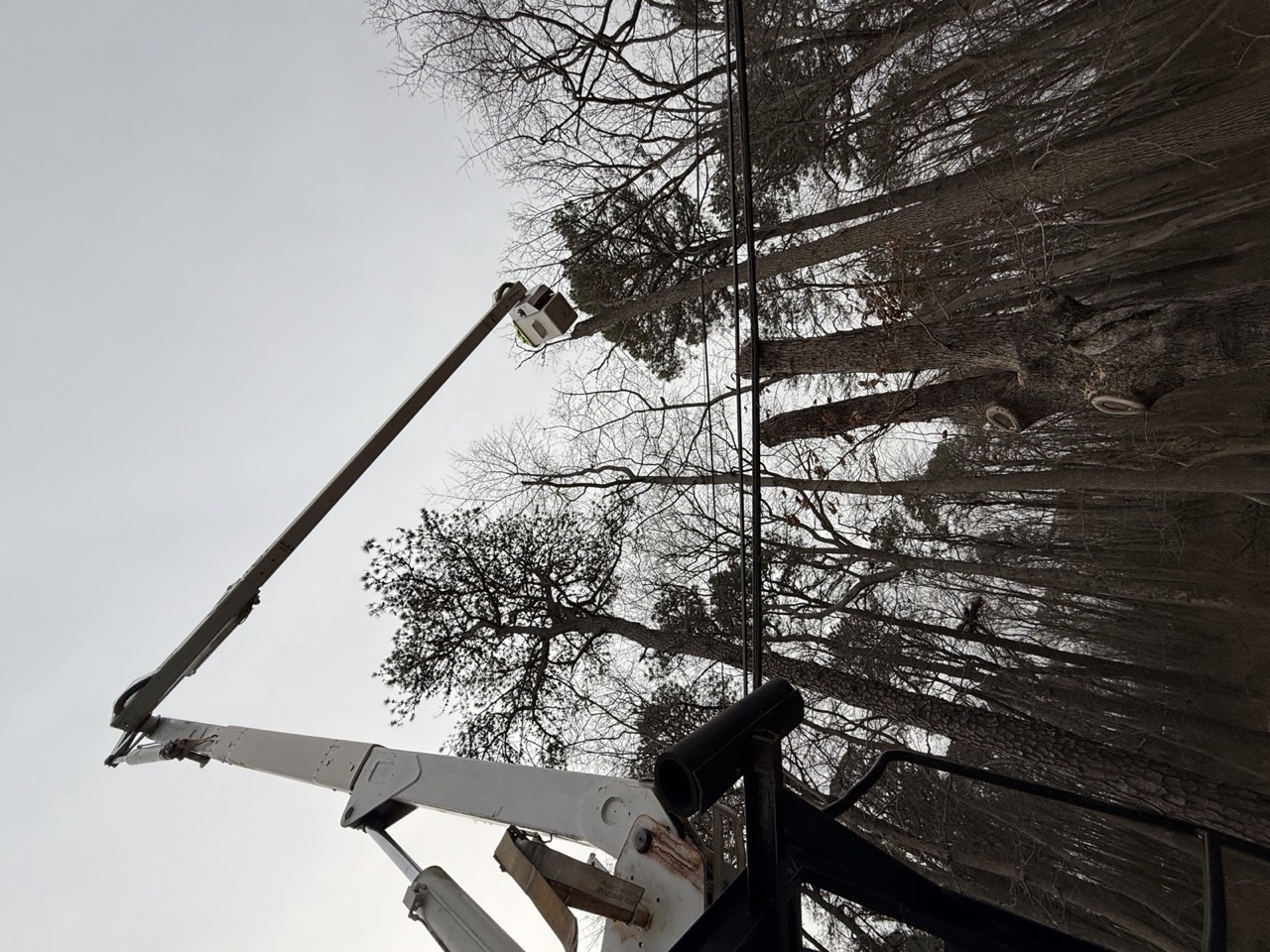 Bucket lift raised among bare winter trees