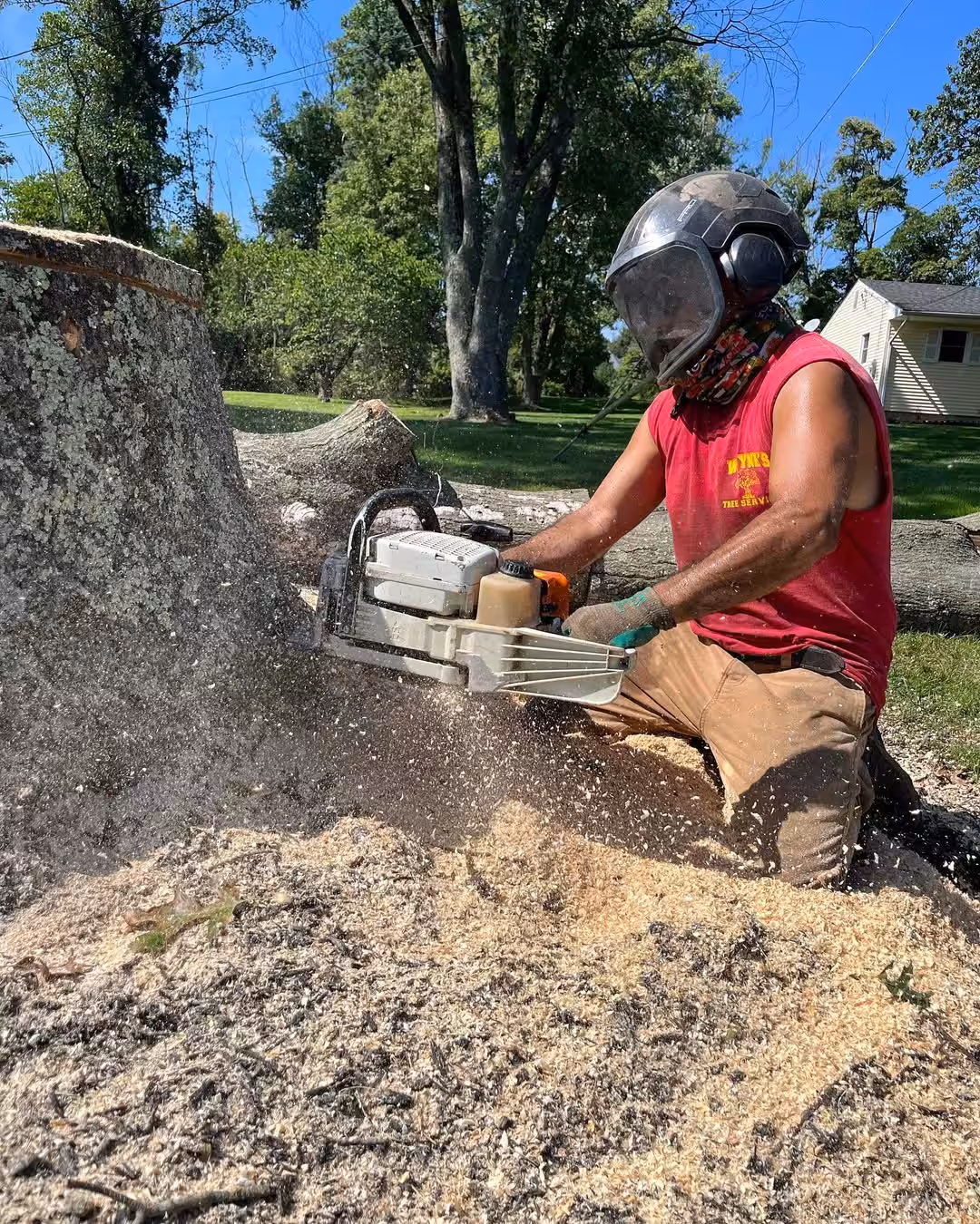 Crew member cutting a stump down flush with the ground before grinding