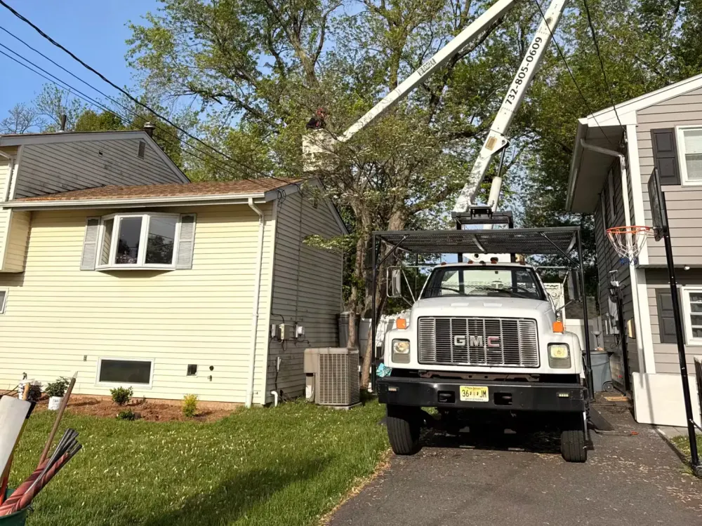 A white GMC boom truck parked in a driveway with an operator in the aerial lift bucket pruning tree branches over a house roof.