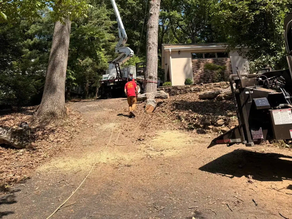 A tree care professional in an aerial lift bucket works on removing a tall tree trunk next to a residential house while a ground worker handles a rigging line.