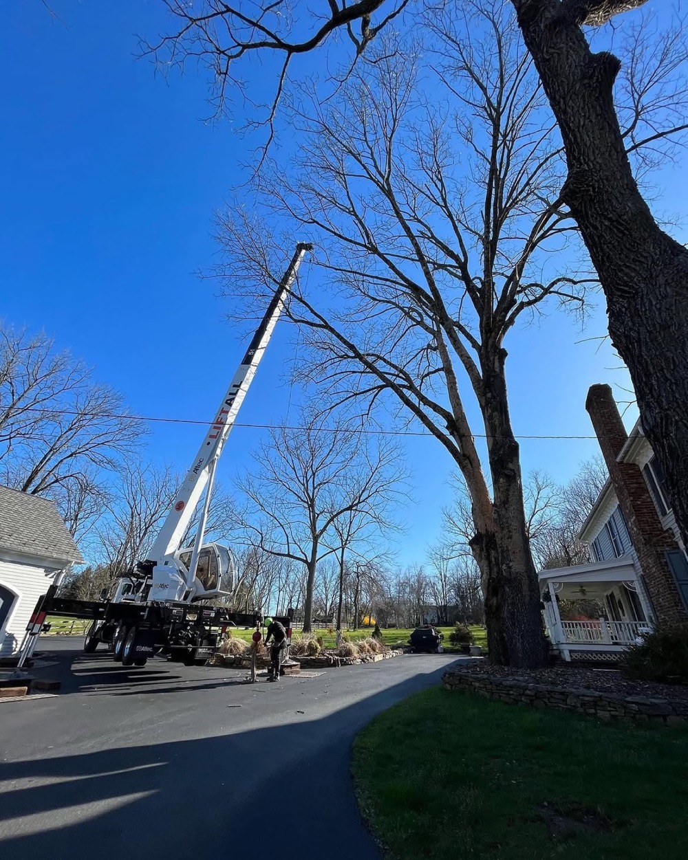 Crane truck working under bare trees on a driveway