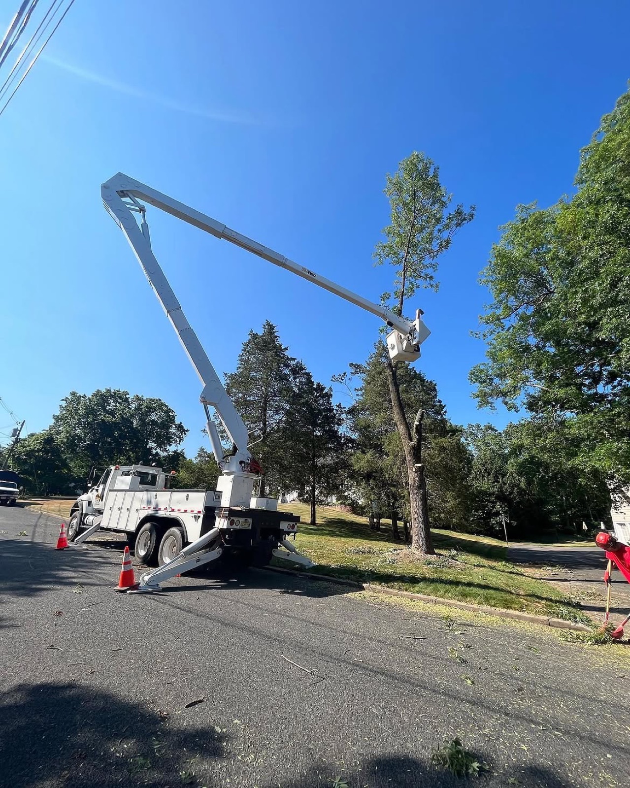 The Full Fleet — Wayne's Tree Service equipment