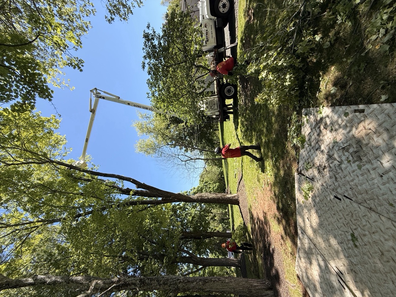Wayne's Tree Service crew working on-site at a New Jersey property