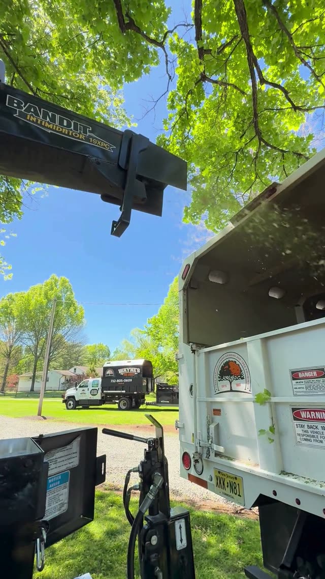 Bandit Wood Chipper Spraying Mulch Into a Dump Truck Box