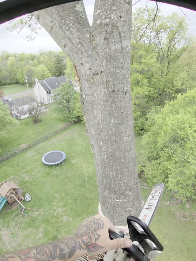 Crane Lifting Massive Tree Trunk Section