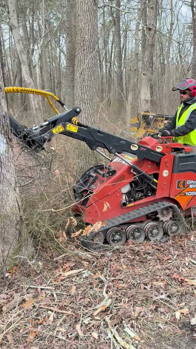 Ditch Witch Mini Skid Steer Clamping and Lifting a Fallen Tree Trunk Section