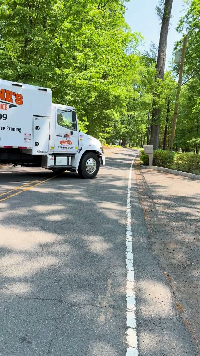 Tree Service Truck and Wood Chipper on Roadside