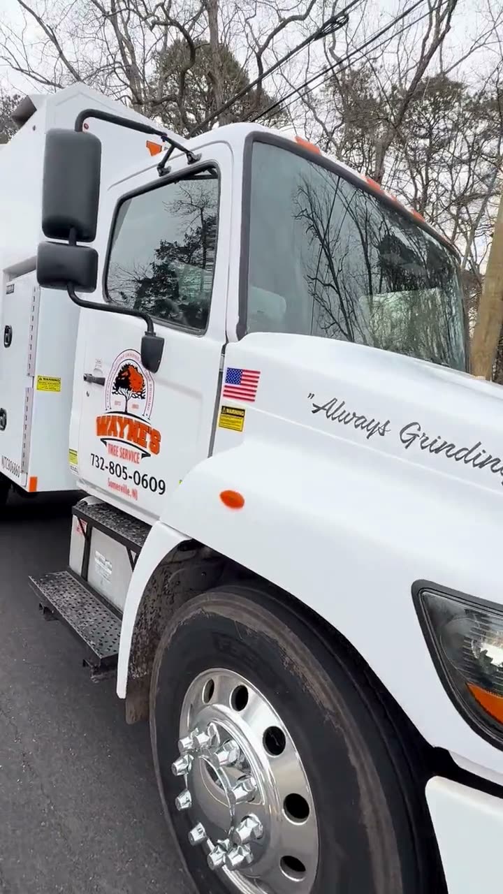 Tree Service Truck and Equipment Setup on Roadside